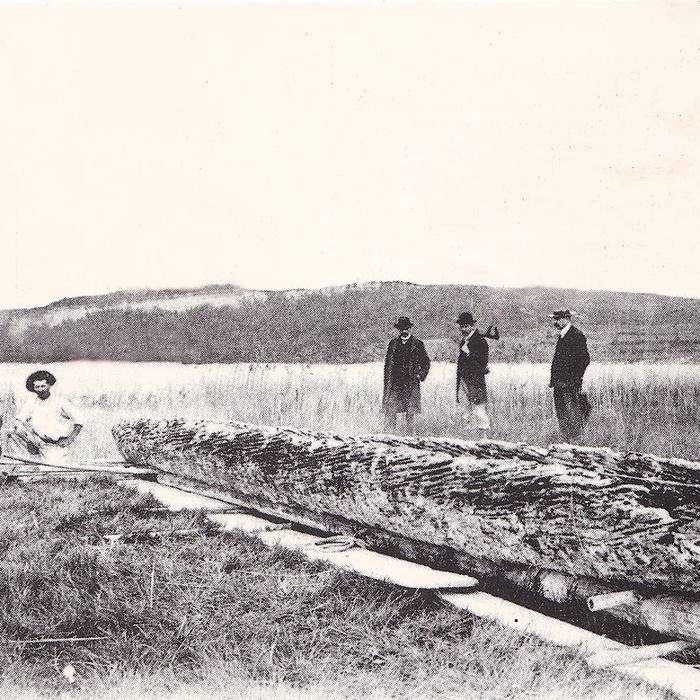 Photo de Villages palafittes du lac de Chalain à Doucier